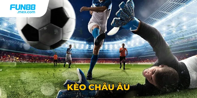 Kèo Châu Âu - Hướng Dẫn Toàn Diện Từ A-Z Cho Người Mới