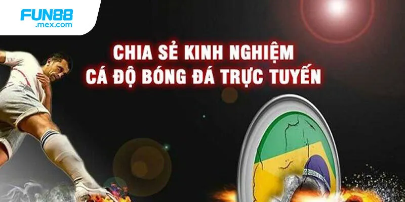 Chia sẻ kinh nghiệm soi kèo bóng đá cho người mới